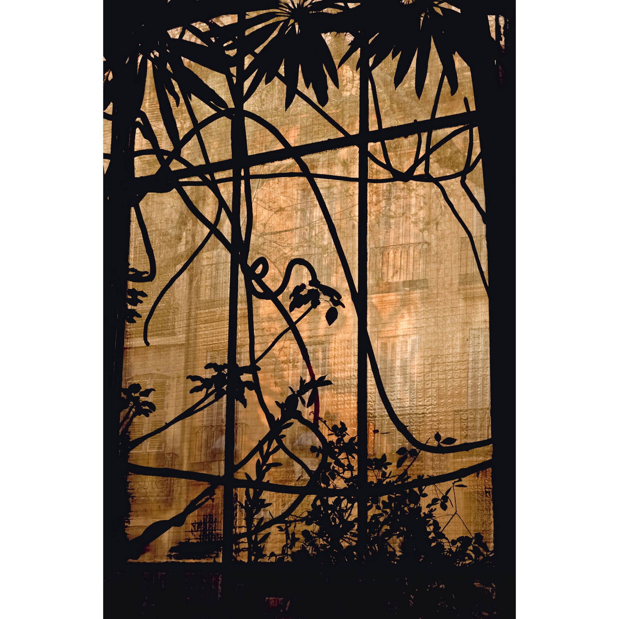 Silhouette Conservatory tempered glass print